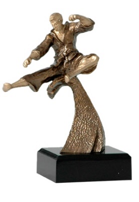 karate trofee 5